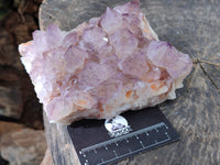 Natural Cactus Flower Sunburst Spirit Amethyst Clusters x 2 From South Africa
