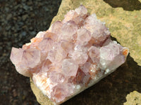Natural Cactus Flower Sunburst Spirit Amethyst Clusters x 2 From South Africa
