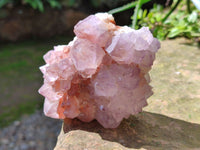 Natural Cactus Flower Sunburst Spirit Amethyst Clusters x 2 From South Africa