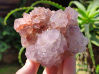 Natural Cactus Flower Sunburst Spirit Amethyst Clusters x 2 From South Africa