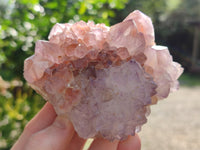 Natural Cactus Flower Sunburst Spirit Amethyst Clusters x 2 From South Africa