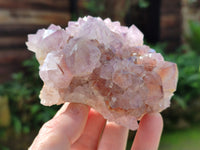 Natural Cactus Flower Sunburst Spirit Amethyst Clusters x 2 From South Africa