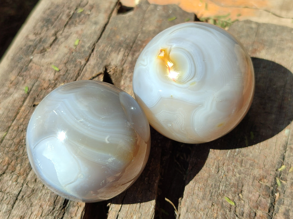 Polished Banded Agate Spheres x 12 From Madagascar - Toprock Gemstones and Minerals 
