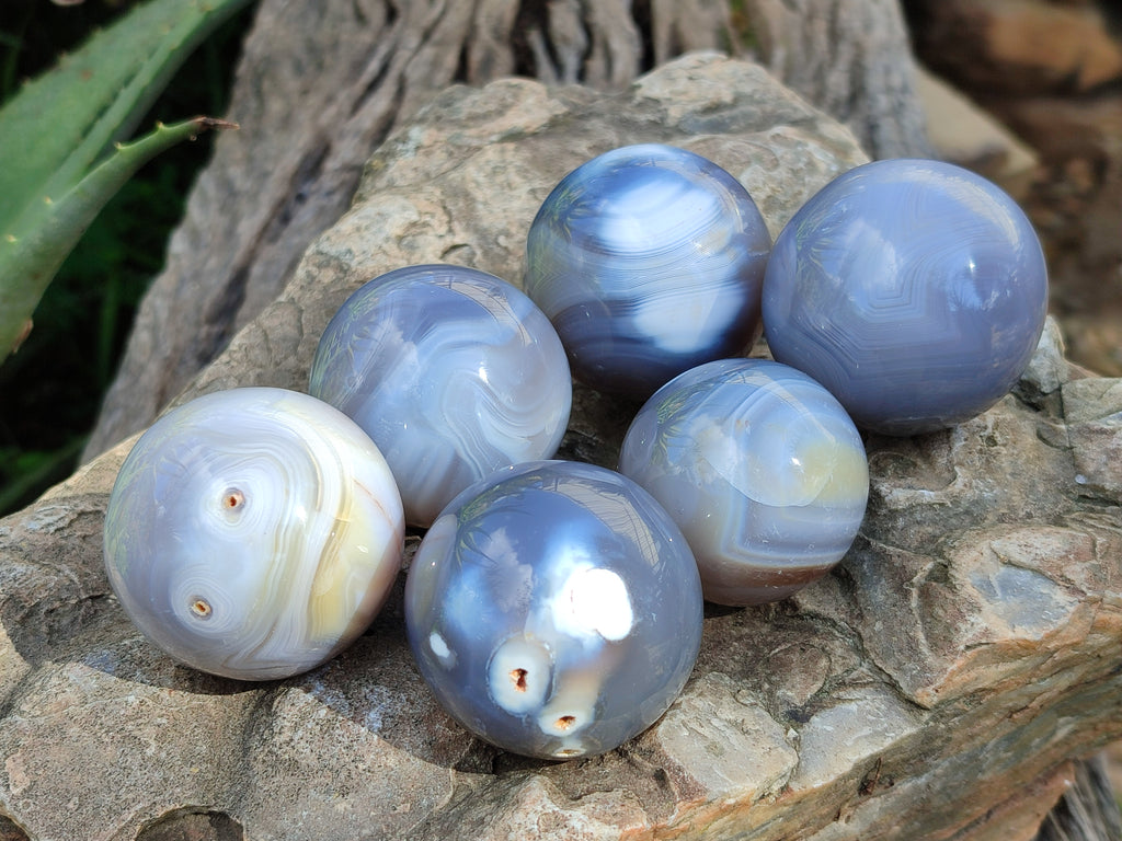 Polished Banded Agate Spheres x 12 From Madagascar - Toprock Gemstones and Minerals 