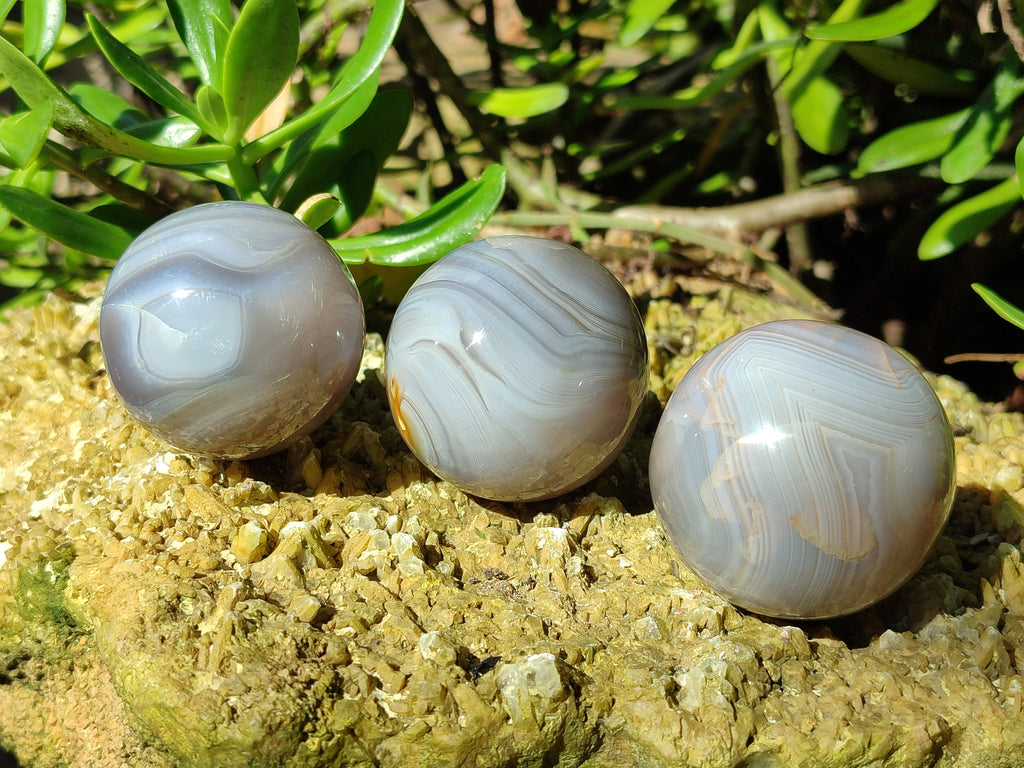 Polished Banded Agate Spheres x 12 From Madagascar - Toprock Gemstones and Minerals 