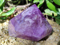 Polished Window Amethyst Quartz Crystals x 2 From Akansobe, Madagascar