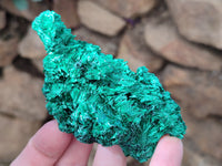 Natural Silky Malachite Specimens x 6 From Kasompe, Congo