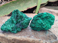 Natural Silky Malachite Specimens x 6 From Kasompe, Congo