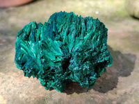 Natural Silky Malachite Specimens x 6 From Kasompe, Congo