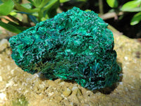 Natural Silky Malachite Specimens x 6 From Kasompe, Congo