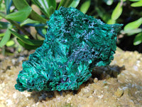 Natural Silky Malachite Specimens x 6 From Kasompe, Congo