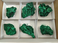 Natural Silky Malachite Specimens x 6 From Kasompe, Congo