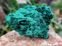 Natural Silky Malachite Specimens x 6 From Kasompe, Congo