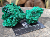 Natural Silky Malachite Specimens x 6 From Kasompe, Congo