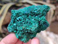 Natural Silky Malachite Specimens x 6 From Kasompe, Congo