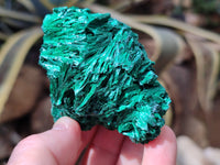Natural Silky Malachite Specimens x 6 From Kasompe, Congo