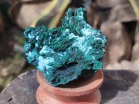 Natural Rare Drusy Chrysocolla and Malachite Specimens x 6 From Congo