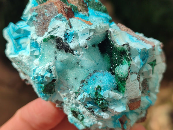 Natural Rare Drusy Chrysocolla and Malachite Specimens x 6 From Congo