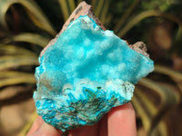 Natural Rare Drusy Chrysocolla and Malachite Specimens x 6 From Congo