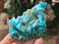 Natural Rare Drusy Chrysocolla and Malachite Specimens x 6 From Congo