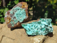Natural Rare Drusy Chrysocolla and Malachite Specimens x 6 From Congo