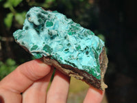 Natural Rare Drusy Chrysocolla and Malachite Specimens x 6 From Congo