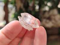 Natural Single Quartz Crystals x 70 From Brandberg, Namibia