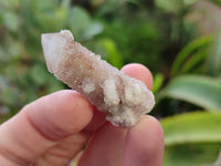 Natural Mixed Amethyst and Cactus Spirit Quartz Clusters x 35 From Boekenhouthoek, South Africa
