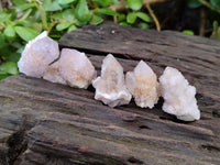 Natural Mixed Amethyst and Cactus Spirit Quartz Clusters x 35 From Boekenhouthoek, South Africa