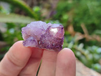 Natural Mixed Amethyst and Cactus Spirit Quartz Clusters x 35 From Boekenhouthoek, South Africa