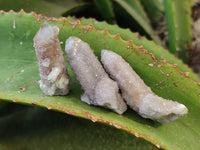 Natural Mixed Amethyst and Cactus Spirit Quartz Clusters x 35 From Boekenhouthoek, South Africa