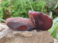 Polished On One Side Red Sashe River Agate Nodules x 20 From Zimbabwe