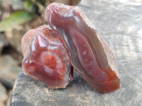 Polished On One Side Red Sashe River Agate Nodules x 20 From Zimbabwe