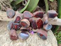 Polished On One Side Red Sashe River Agate Nodules x 20 From Zimbabwe