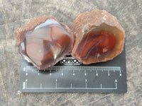 Polished On One Side Red Sashe River Agate Nodules x 20 From Zimbabwe