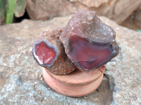 Polished On One Side Red Sashe River Agate Nodules x 20 From Zimbabwe