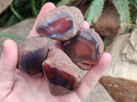Polished On One Side Red Sashe River Agate Nodules x 20 From Zimbabwe