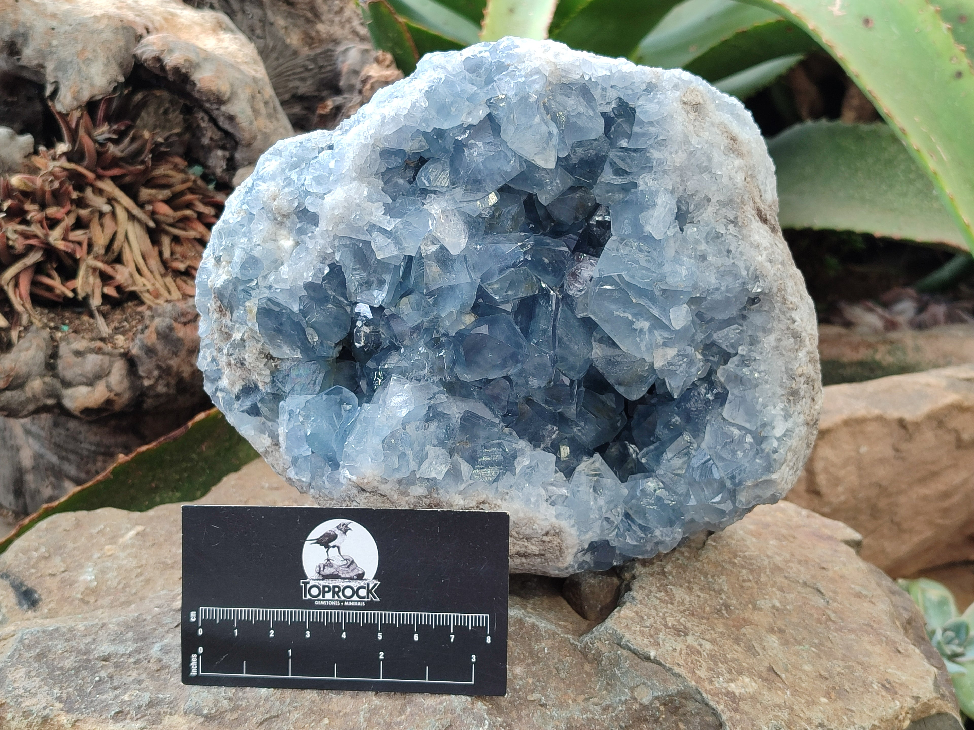 Natural Large Celestite Geode Specimen x 1 From Sakoany, Madagascar - Toprock Gemstones and Minerals 