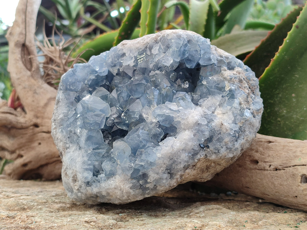 Natural Large Celestite Geode Specimen x 1 From Sakoany, Madagascar - Toprock Gemstones and Minerals 