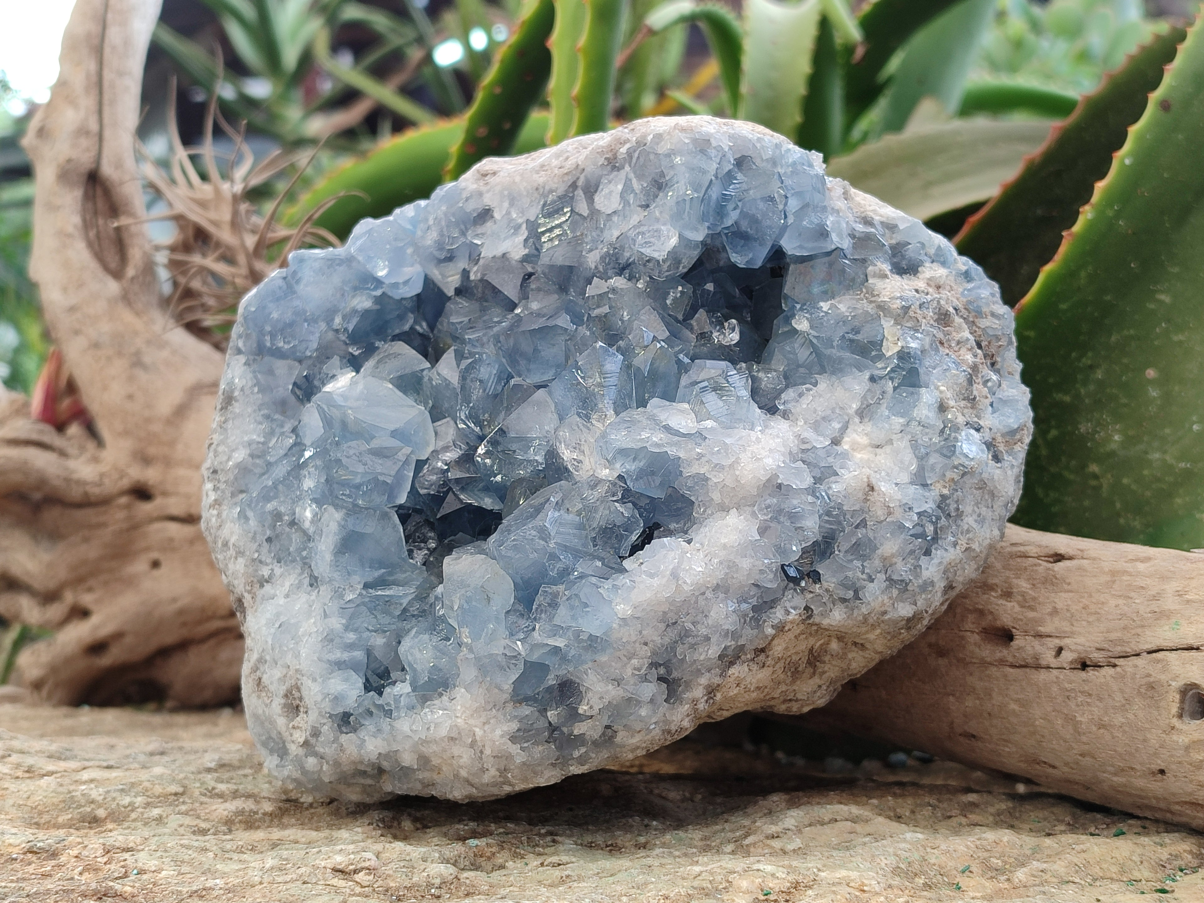 Natural Large Celestite Geode Specimen x 1 From Sakoany, Madagascar - Toprock Gemstones and Minerals 