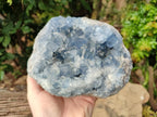 Natural Large Celestite Geode Specimen x 1 From Sakoany, Madagascar - Toprock Gemstones and Minerals 