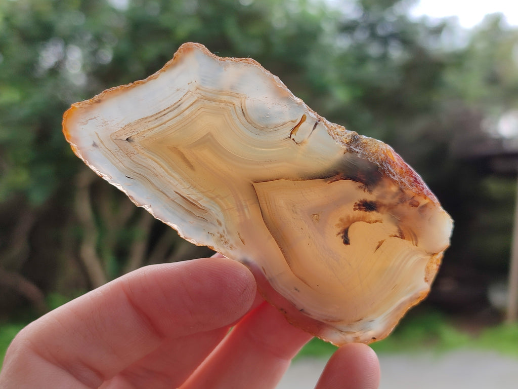 Polished Banded Agate Slices x 24 From Madagascar - Toprock Gemstones and Minerals 