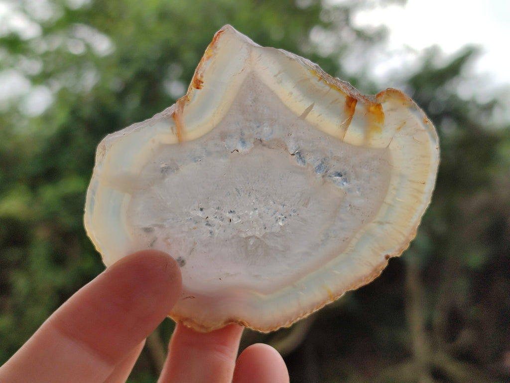 Polished Banded Agate Slices x 24 From Madagascar - Toprock Gemstones and Minerals 