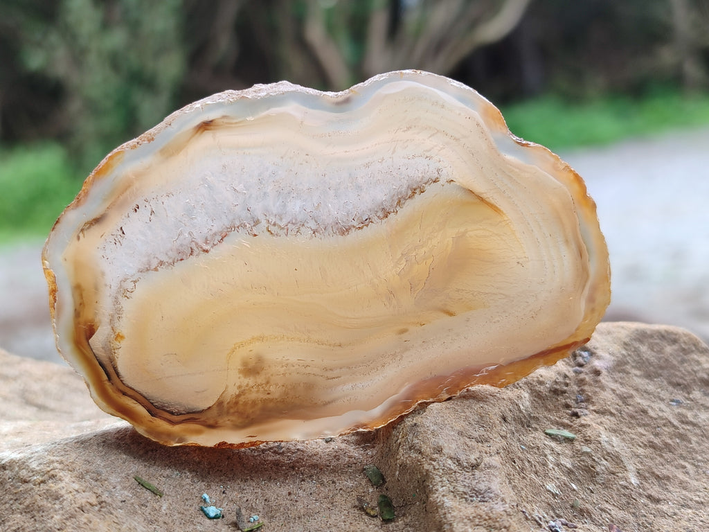 Polished Banded Agate Slices x 24 From Madagascar - Toprock Gemstones and Minerals 