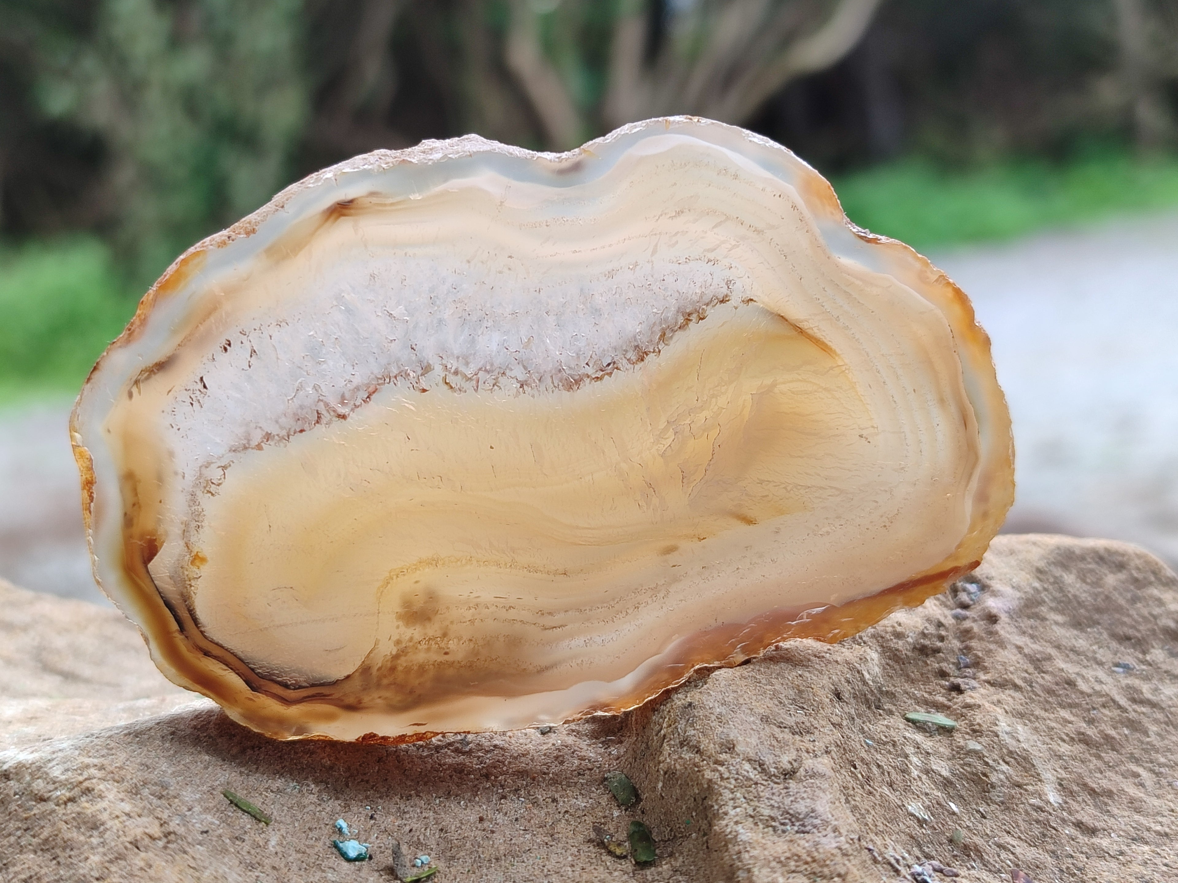 Polished Banded Agate Slices x 24 From Madagascar - Toprock Gemstones and Minerals 