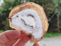 Polished Banded Agate Slices x 24 From Madagascar