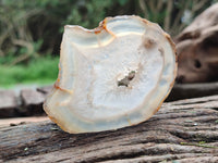 Polished Banded Agate Slices x 24 From Madagascar