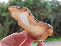 Polished Banded Agate Slices x 24 From Madagascar