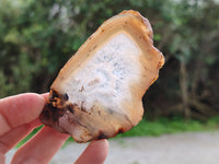 Polished Banded Agate Slices x 24 From Madagascar