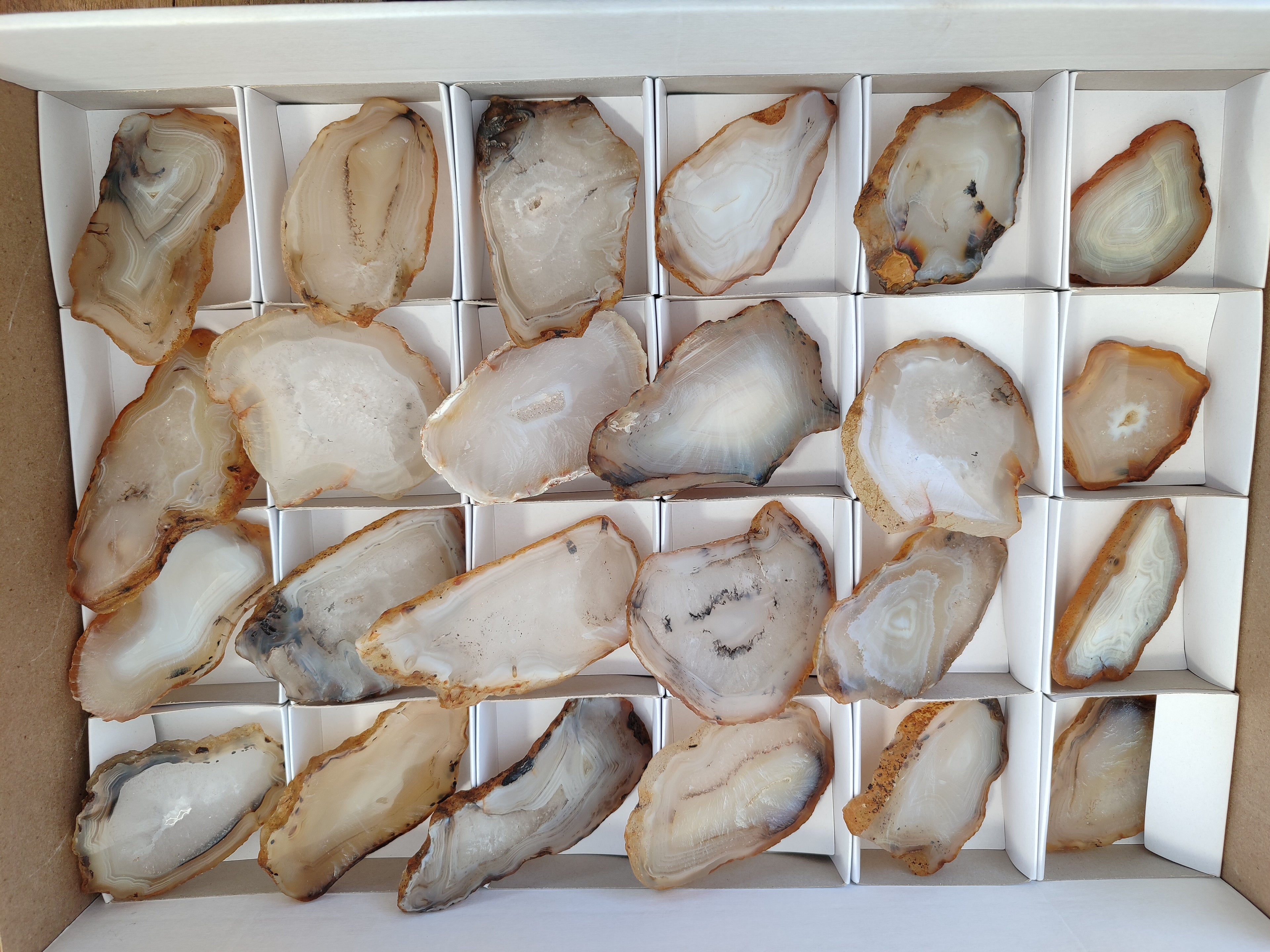 Polished Banded Agate Slices x 24 From Madagascar - Toprock Gemstones and Minerals 